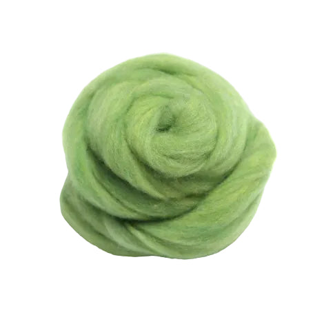 28 - Kiwi