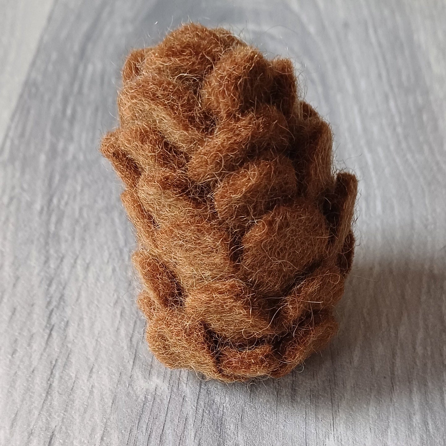 Fir cone
