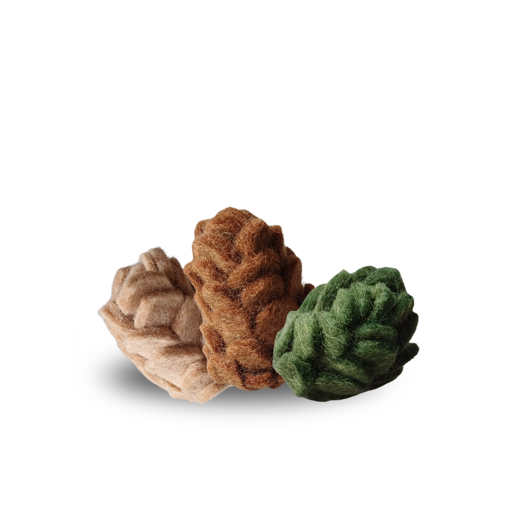 Fir cone