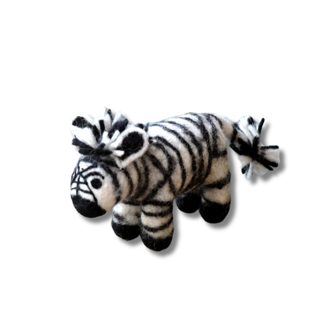 Spot the Zebra