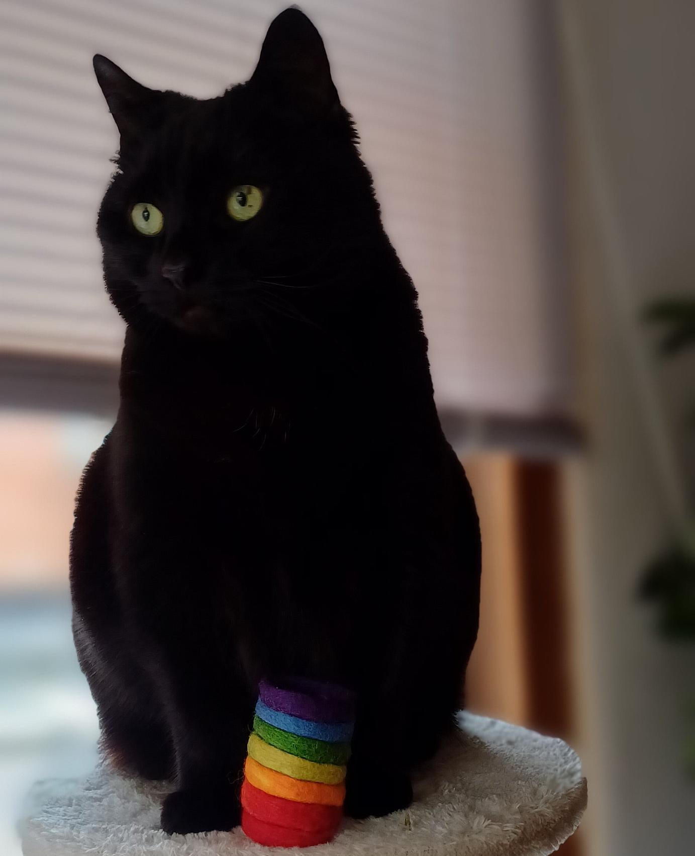 Rainbow spring
